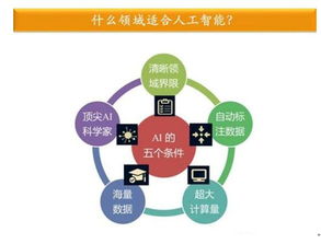 金準(zhǔn)數(shù)據(jù)最新研究揭示 人工智能應(yīng)用軟件開(kāi)發(fā)驅(qū)動(dòng)行業(yè)縱深發(fā)展